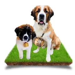 personalized oak aging barrel, personalized American oak barrel, customized whiskey barrel, custom engraved barrel, customized bourbon barrel, personalized whiskey barrel, personalized oak barrel, personalized mini whiskey barrel, personal whiskey barrel, customized oak barrel, personalized charred oak barrel, custom engraved oak barrel, personalized barrel whiskey, personalized mini whisky barrel, personalized whiskey barrel kit