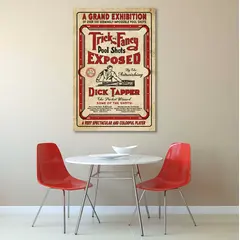 Trick & Fancy Pool Shots