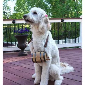 St. Bernard Barrel Dog Collar Oak Barrel