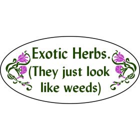 'Exotic Herbs' Garden Yard Stake Sign (GS_3312)