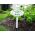 'Weed Patch of the Month' Garden Yard Stake Sign (GS_2352)