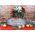 'Wishing You Christmas Cheer' Holiday Kensington Sign (KEN_3024)