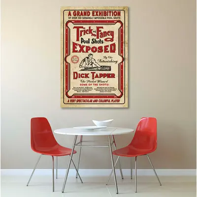 Trick & Fancy Pool Shots