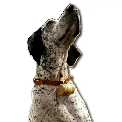 Mini Barrel Dog Collar