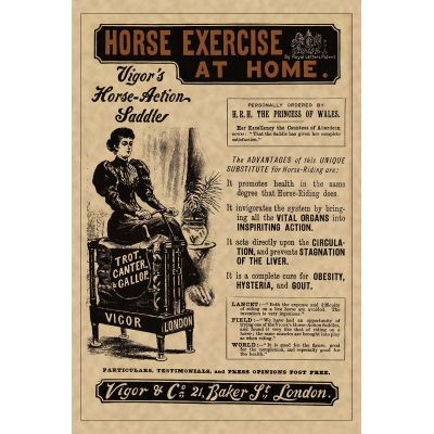 Horse Exercise at Home