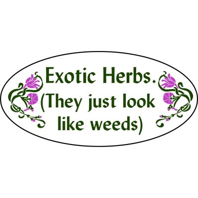 'Exotic Herbs' Garden Yard Stake Sign (GS_3312)
