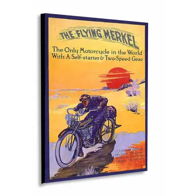 The Flying Merkel