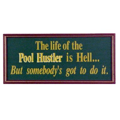 THE LIFE OF A POOL HUSTLER (DSB814)