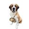St. Bernard Dog Collar Oak Barrel