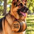 Close-up of a German Shepherd wearing a Pooch Hooch 1-liter wooden dog barrel with engraved logo, black metal hoops, wooden spigot and leather collar.