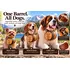 PupTown Girl engraved wooden dog barrels displayed on small, medium, and large dogs, illustrating adjustable leather straps and brass hardware for different dog sizes.