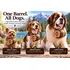 Small Yorkshire Terrier, medium Beagle, and large Saint Bernard wearing the Sit Stay Pour 1-liter oak dog barrel, showing adjustable leather strap fit across dog sizes.